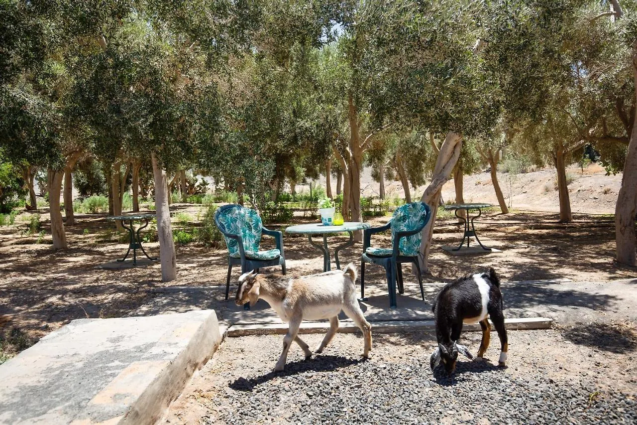 Esencia Eco-Rustico Villa El Charco  Tatil Evi El Charco (Las Palmas)